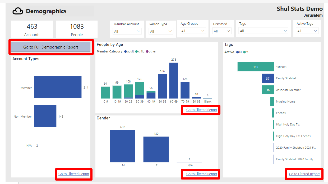 Demographic report dashboard with charts.