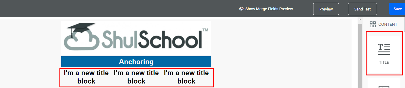 ShulSchool logo with title blocks below