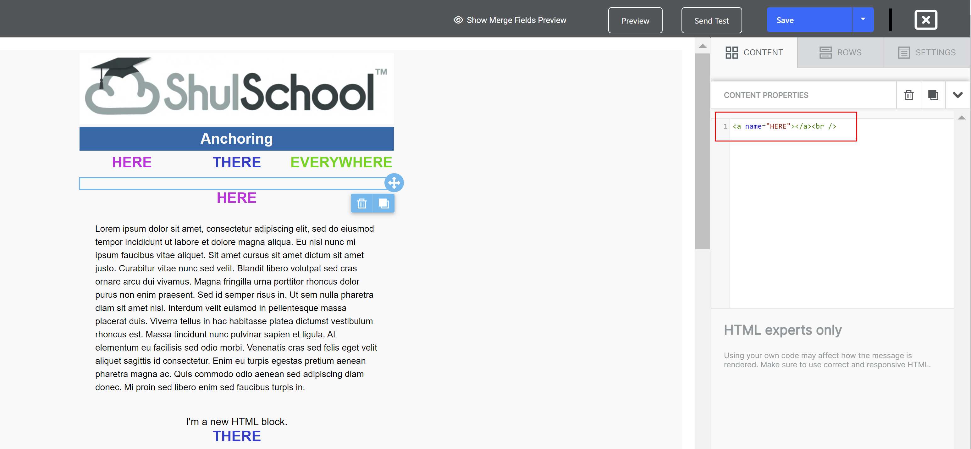 ShulSchool logo and text editor interface