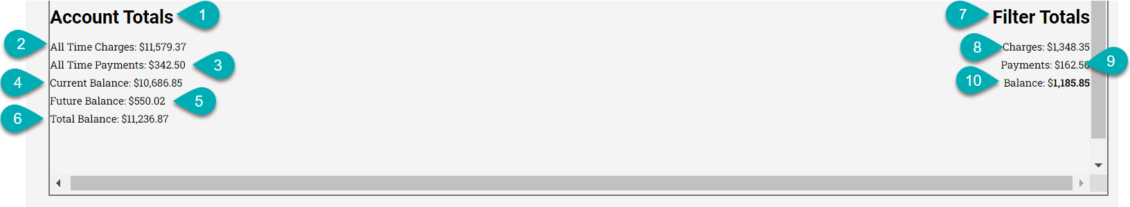 Account and Filter Totals Display
