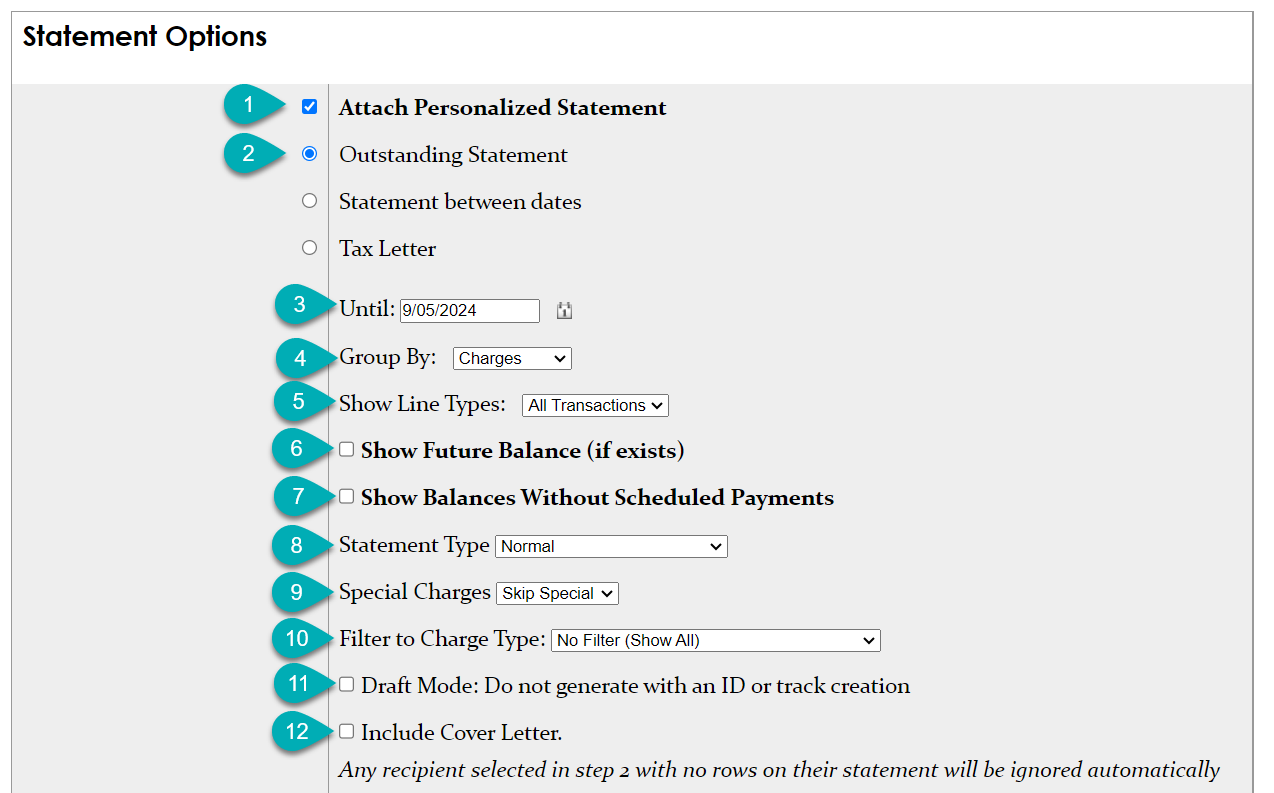 Statement options selection screen