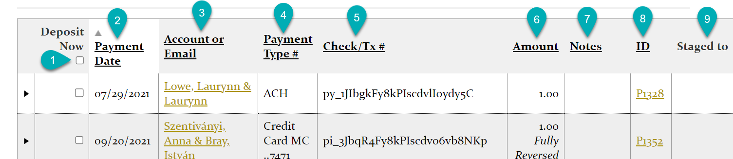Payment transaction table with details.