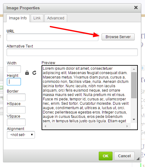 Image properties dialog box screenshot.